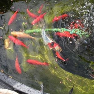 Profile Picture of Michiko Butts (@takahashi_usa) on Myspace