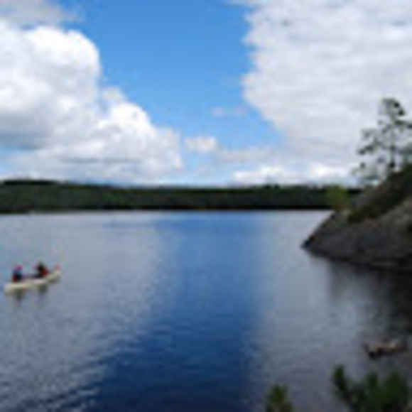 Profile Picture of James Birch (@jamesbirch204) on Poshmark