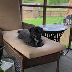 Profile Picture of Rita Schultz Pettit (@rita.pettit.18) on Instagram