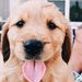 Profile Picture of Jamie Bennett (@strohmj) on Pinterest