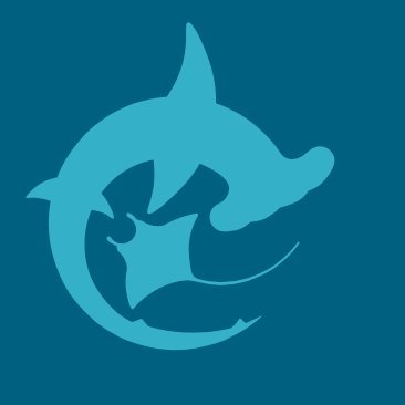 Profile Picture of David McGuire, SHARKSTEWARDS (@SHARKSTEWARDS) on Twitter