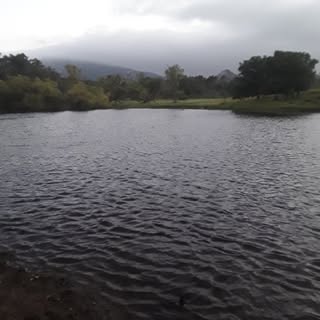 Joel Poplin - Instagram Profile Picture of Joel Poplin (@poplinjoel) on Instagram