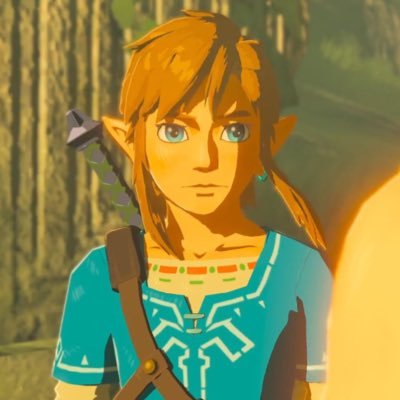 Profile Picture of Link 💫 Ceo Of Barry’s Jooty Jorts 👖 (nsfr) (@accio_belle) on Twitter