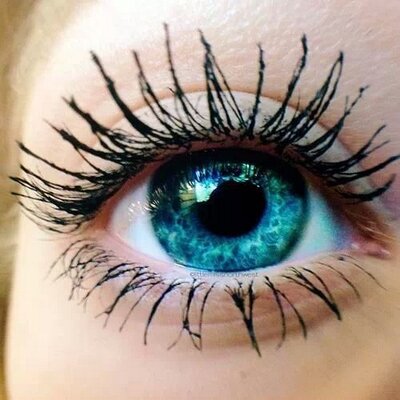 Profile Picture of Luisa Pichardo (@pelicaluca) on Twitter