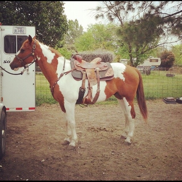 Profile Picture of Breanne Robertson (@twoheartsone) on Poshmark