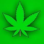 Profile Picture of Chris Southerland (@fine_daddy69) on Instagram