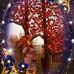 Profile Picture of Liliya Kholodovskaya (@Liliya-Kholodovskaya) on Facebook
