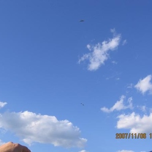 Profile Picture of Hong Zhao (@260579570) on Myspace