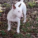 Profile Picture of Leon Trussell (@leon.trussell.758) on Facebook