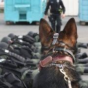 Profile Picture of Greg Castillo (@gcastillo07) on Pinterest