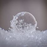 Profile Picture of Cindy German Denstedt (@lovinscotties) on Instagram