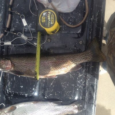 Profile Picture of Robert Osburn (@Osburn_bill) on Twitter