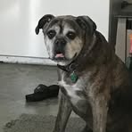 Profile Picture of Edward Nobbe (@edward.nobbe) on Facebook