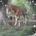 Profile Picture of Kevin Shugart (@kevin.shugart.75) on Facebook