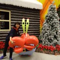 Profile Picture of Song Xue Qi (@song-xue-qi) on Quora