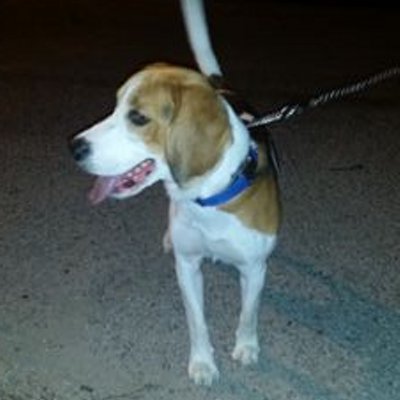 Victor Saenz - Twitter Profile Picture of Victor Saenz (@victorsaenz4) on Twitter