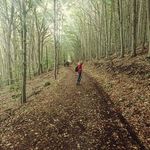 Profile Picture of Judit Bánsági (@bansagijudit) on Instagram