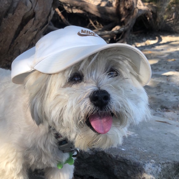 Profile Picture of Holly Cramond (@hollyc_) on Poshmark