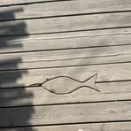 Profile Picture of Anne Collart (@anne.collart.7) on Facebook