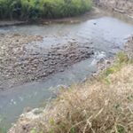 romulo romero - Instagram Profile Picture of romulo romero (@romulo1824) on Instagram