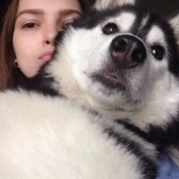 Mark Nunez - Poshmark Profile Picture of Mark Nunez (@fecioelbersh62) on Poshmark