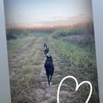 Profile Picture of Shellie Stogdill (@shellie.stogdill) on Facebook