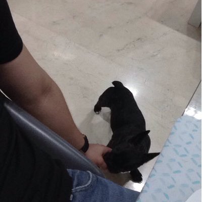 Profile Picture of ♛ D (@Danielrivas00) on Twitter