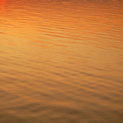 Profile Picture of Rob Frey (@4Freydaddy) on Twitter