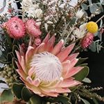 Profile Picture of stuart/gibbons wedding (@getting_hitched_) on Instagram