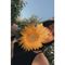 Profile Picture of Jody Murdock (@jody.murdock.1) on Facebook