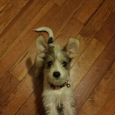 Profile Picture of Alex Robledo (@protesisalex) on Twitter