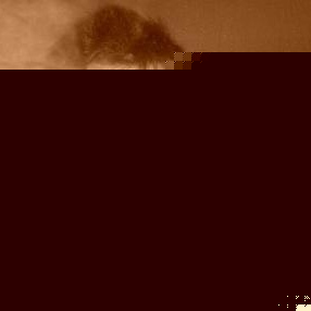 Profile Picture of David Wienke (@266286586) on Myspace