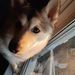 Profile Picture of Gina Travers (@ginat1723) on Pinterest