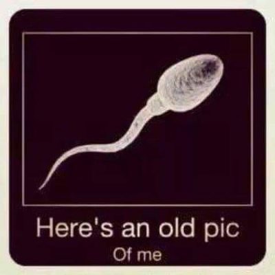 Profile Picture of Bob Perrin (@bobperrin72) on Twitter