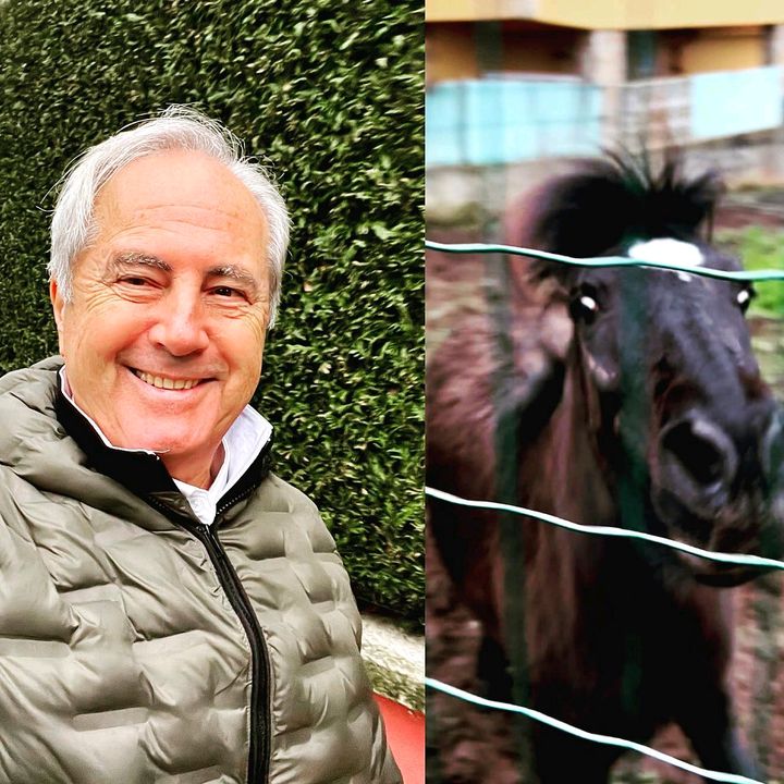 Profile Picture of andrewdalton (@andrewdalton75) on Tiktok