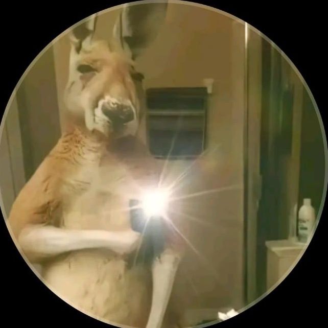Profile Picture of Iván (@ivanelchef) on Tiktok