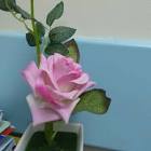 Profile Picture of   athiraarun668644(@athiraaru... (@athiraarun6686445) on Tiktok
