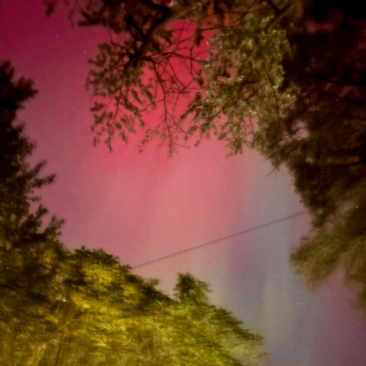 Profile Picture of Michael Noren (@michaelnoren6) on Tiktok