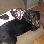 Profile Picture of Mike Benner (@mike.benner) on Instagram