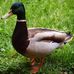 Profile Picture of Debra Wilber (@debra.beland.33) on Facebook