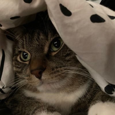 Profile Picture of Crystal Blake (@crystalblake12) on Twitter