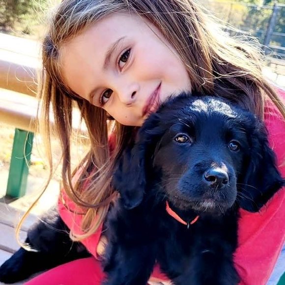 Profile Picture of Suzanne Harrall (@sueharrall) on Poshmark