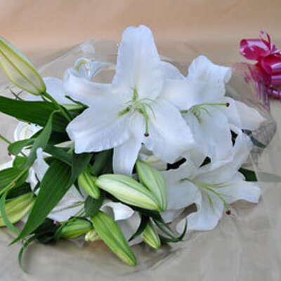 Profile Picture of 西野園芸西野悦子 (@lily_8jo) on Twitter