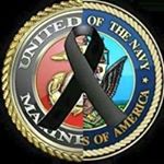 Wade Finch - Instagram Profile Picture of Wade Finch (@finchwade) on Instagram