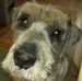 Profile Picture of Jeffrey Silver (@jeffrey.silver.144) on Facebook
