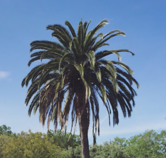 Profile Picture of Krizzia Chimes (@krizziamarie27) on Poshmark