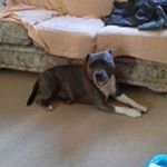 Profile Picture of Paul Filkins (@paulfilkins) on Instagram