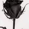 Profile Picture of Hilda Aguilar (@@detalles6) on Tiktok