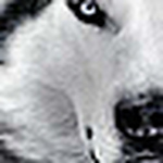 Profile Picture of Christian Clark (@K1Xian) on Flickr