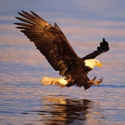 Profile Picture of Tom Standish (@tom_ts2) on Twitter